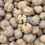 خرید عمده گردو پوست کاغذی ایرانی