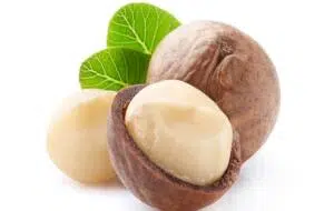 macadamia
