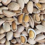 خرید عمده بادام سنگی