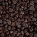 خرید عمده آلوچه برغانی تیره