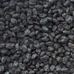 خرید عمده مویز بدون هسته