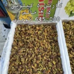 خرید عمده کشمش سبز قلمی (پیکامی) - Image 7