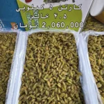 خرید عمده کشمش سبز قلمی (پیکامی) - Image 4