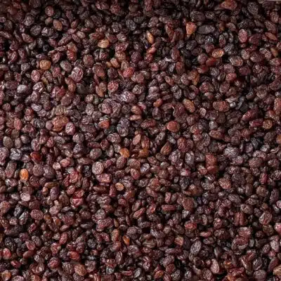 خرید عمده کشمش پلویی تیره آفتابی