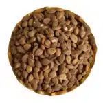 هسته زردآلو خام