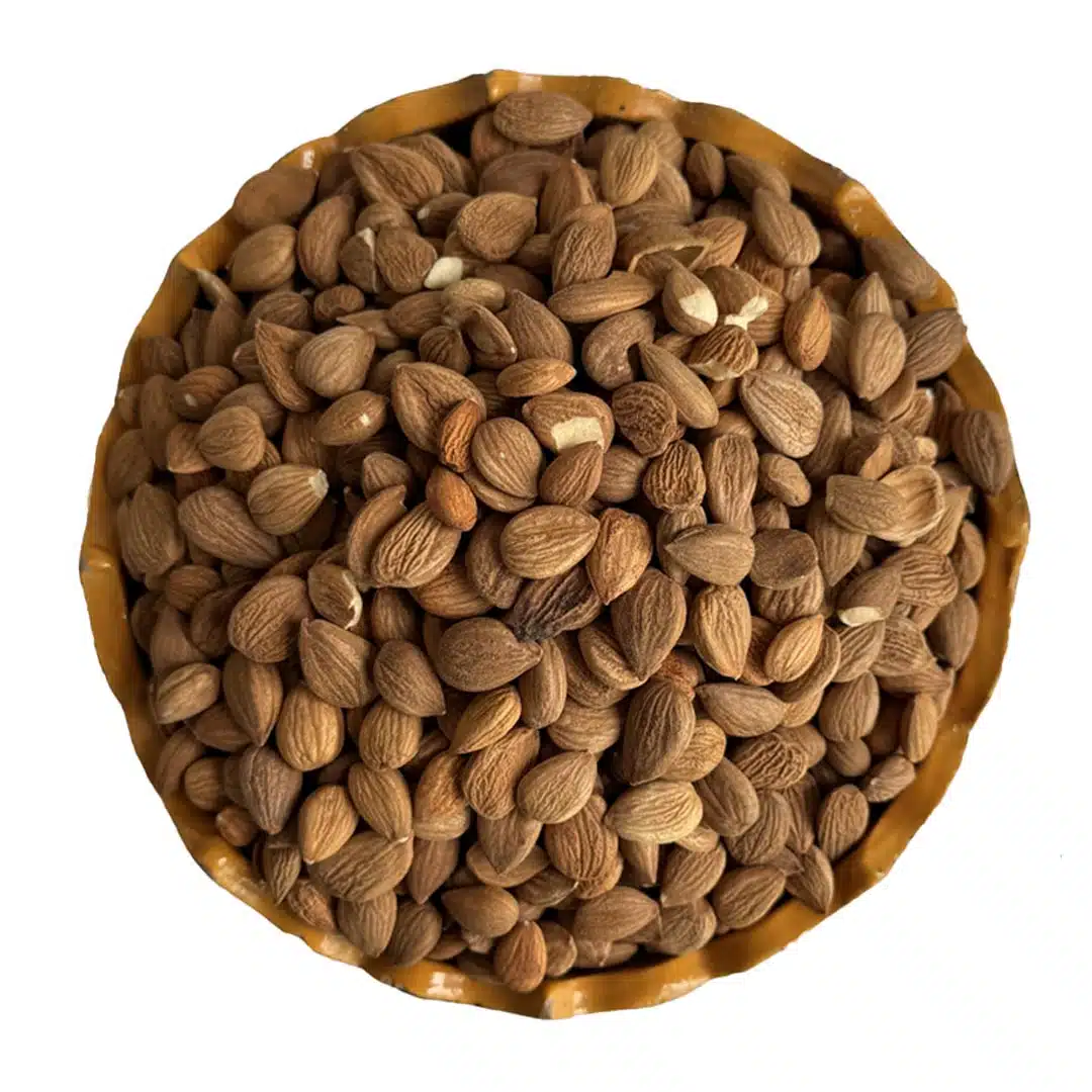 هسته زردآلو خام