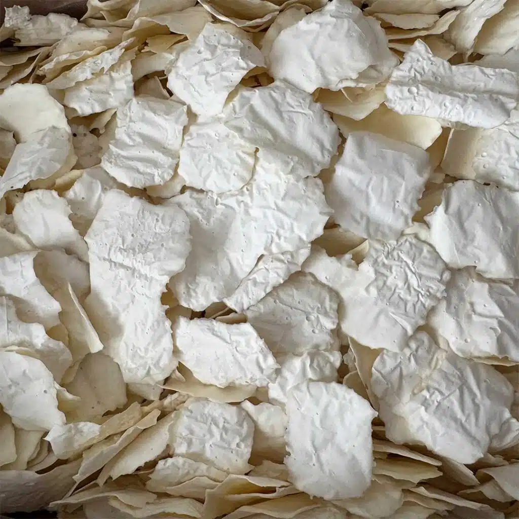 کشک چیپسی عمده