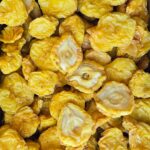 خرید عمده برگه گلابی تاشکندی