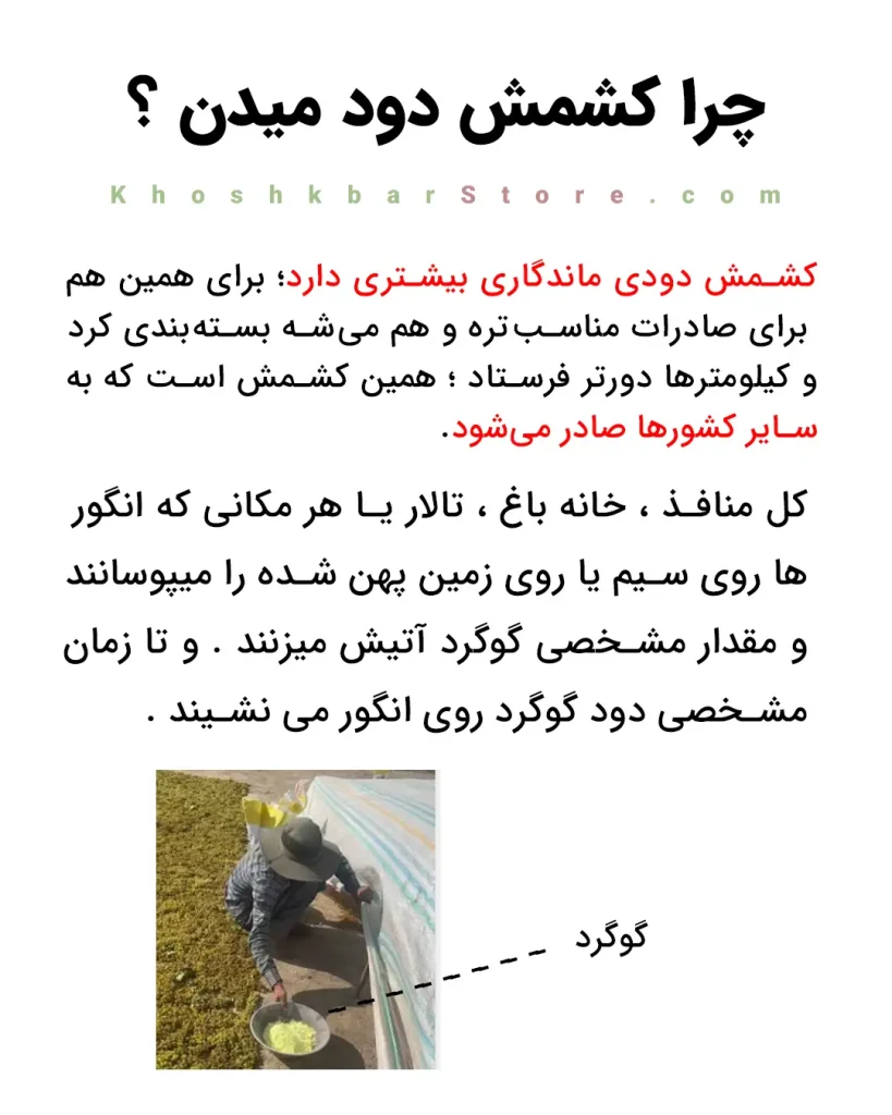 روش دود دادن کشمش با گوگرد برای ماندگاری بالا و صادرات