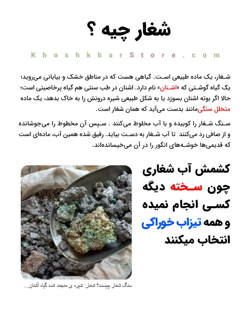 سنگ شغار طبیعی حاصل از گیاه اشنان برای تولید کشمش شغاری سنتی