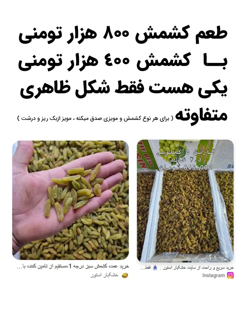 مقایسه کشمش سبز قلمی دستچین با کشمش کارتن عمده از نظر قیمت و ظاهر