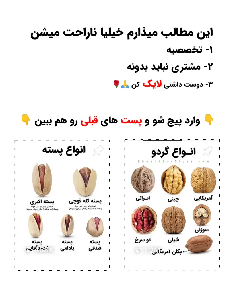 راهنمای جامع تولید محتوای اینستاگرام برای فروشگاه خشکبار استور
