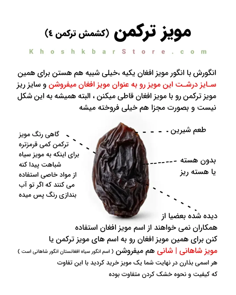 مشخصات مویز ترکمن ۴ و تفاوت کشمش سیاه ترکمن با مویز افغان