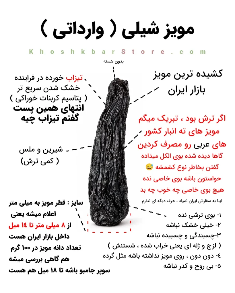مشخصات و راهنمای خرید مویز شیلی وارداتی و کشمش سیاه کشیده بدون هسته