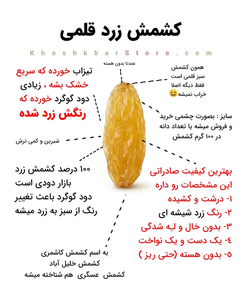 کشمش زرد قلمی طلایی کاشمر و خلیل آباد خشکبار استور