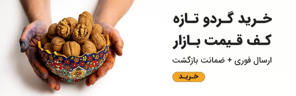 خرید گردو ‍پوست کاغذی درشت و تازه کف قیمت بازار از خشکبار استور
