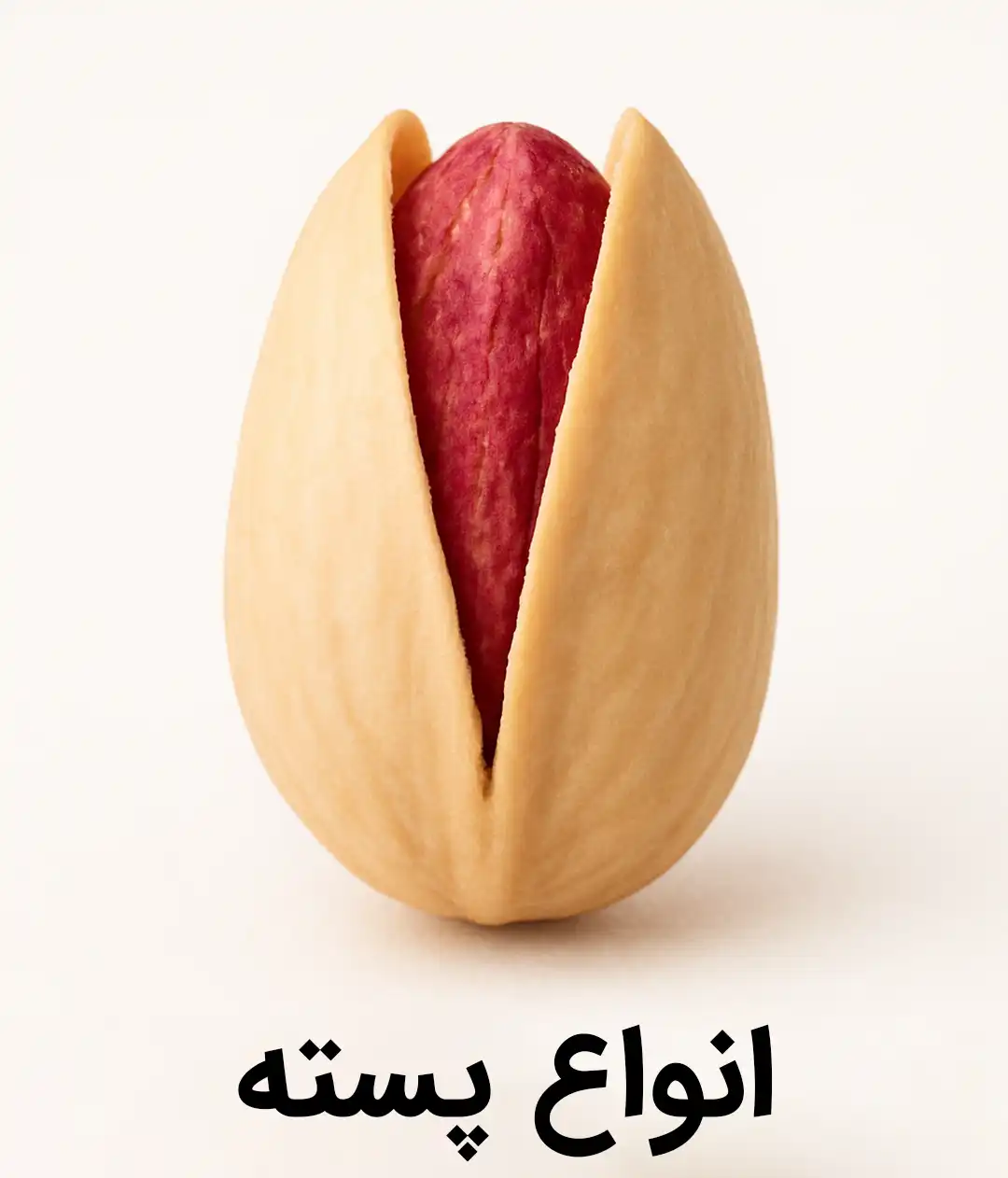 انواع پسته - اکبری - بادامی - احمدآقایی - فندقی