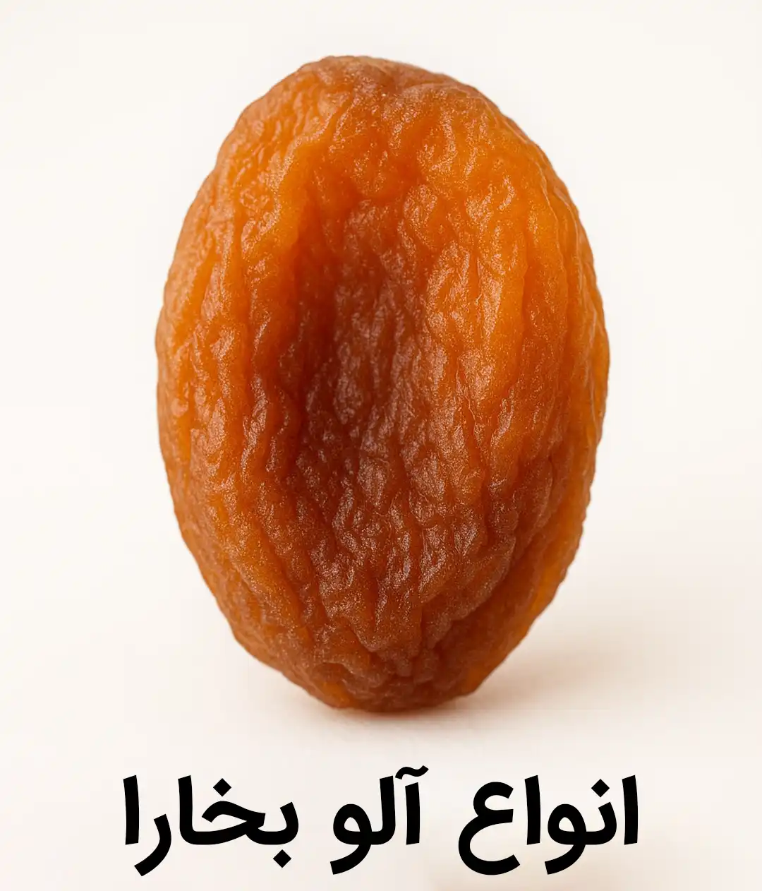 خرید انواع آلو آلو خورشتی حاج حسنی رسمی دودی شوقان طرقبه سبز آفتابی