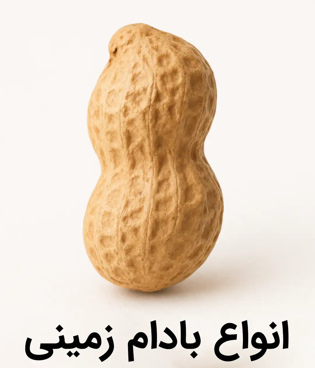 خرید انواع بادام زمینی - غلافدار - شور - تنوری - روکشدار - فلفلی-کچاپ - پنیری - باربیکیو-لعابی- سرکه نمکی