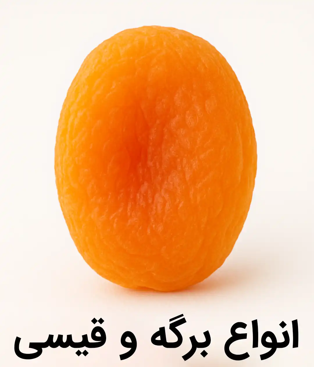 خرید انواع برگه و قیصی زردآلو هلو گلابی شلیل سیب