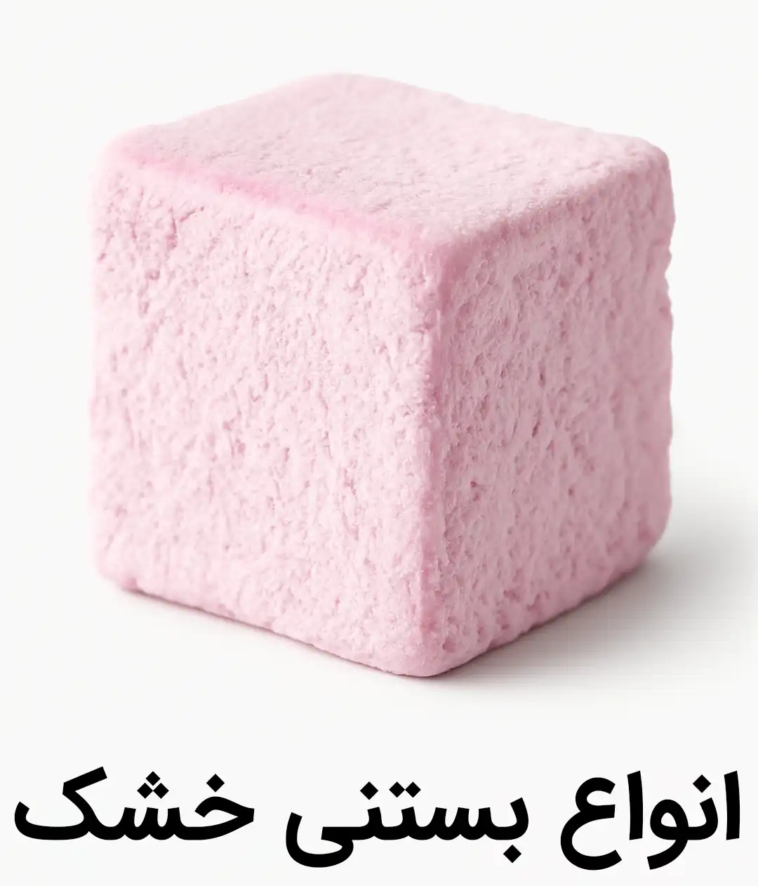 خرید انواع بستنی خشک وانیل توت فرنگی شکلاتی میکس ترکیبی نوتلا موزی انبه کوکی زعفرانی بلوبری شاتوت طالبی