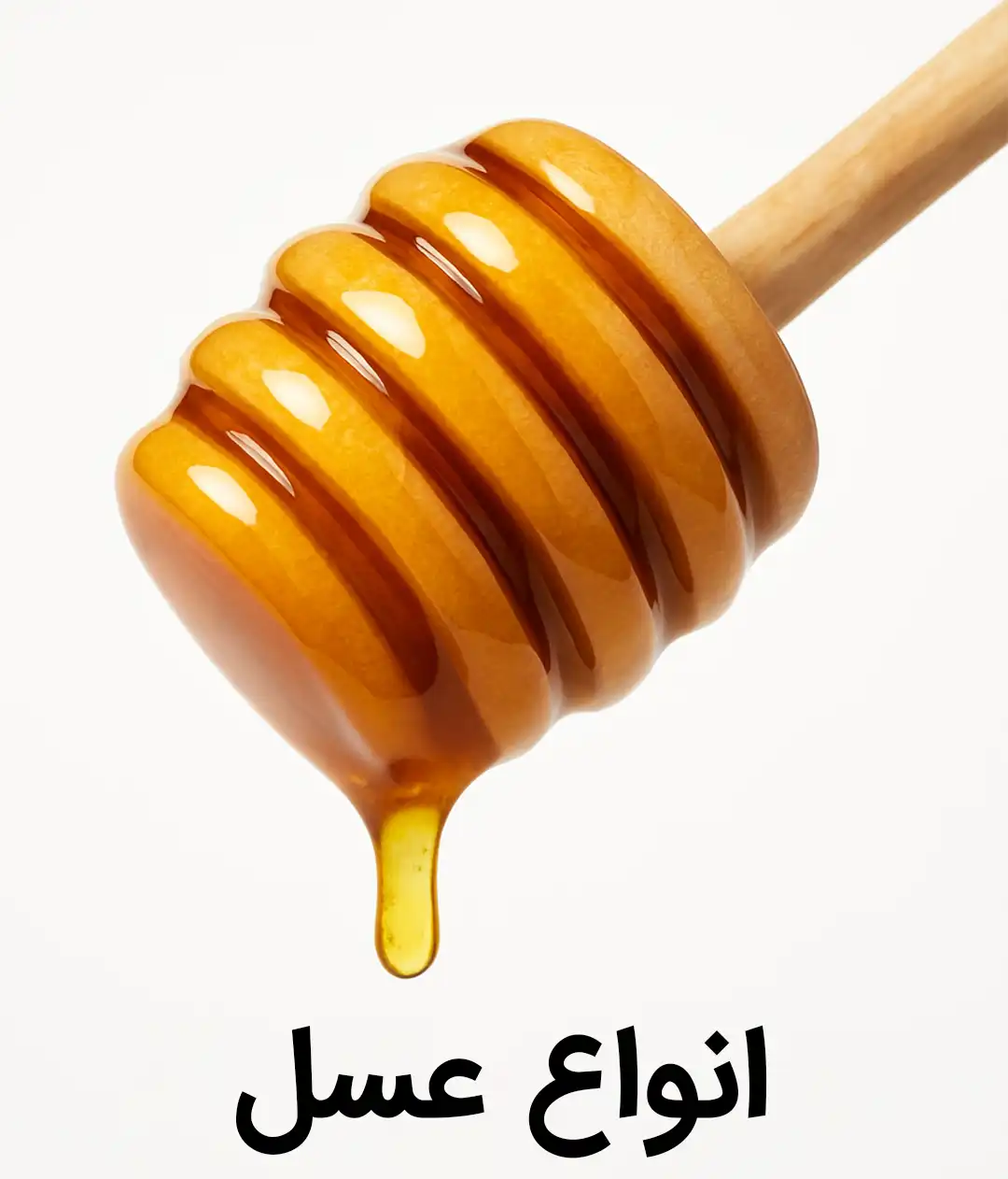 خرید انواع عسل - استوخودوس - گون - کنار- بهاره - اصل -آویشن - ترکیبی