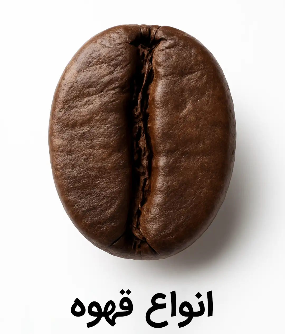 خرید انواع قهوه برزیلی ترک اصل نسکافه هات چاکلت چای کرک ماسالا کاپوچینو