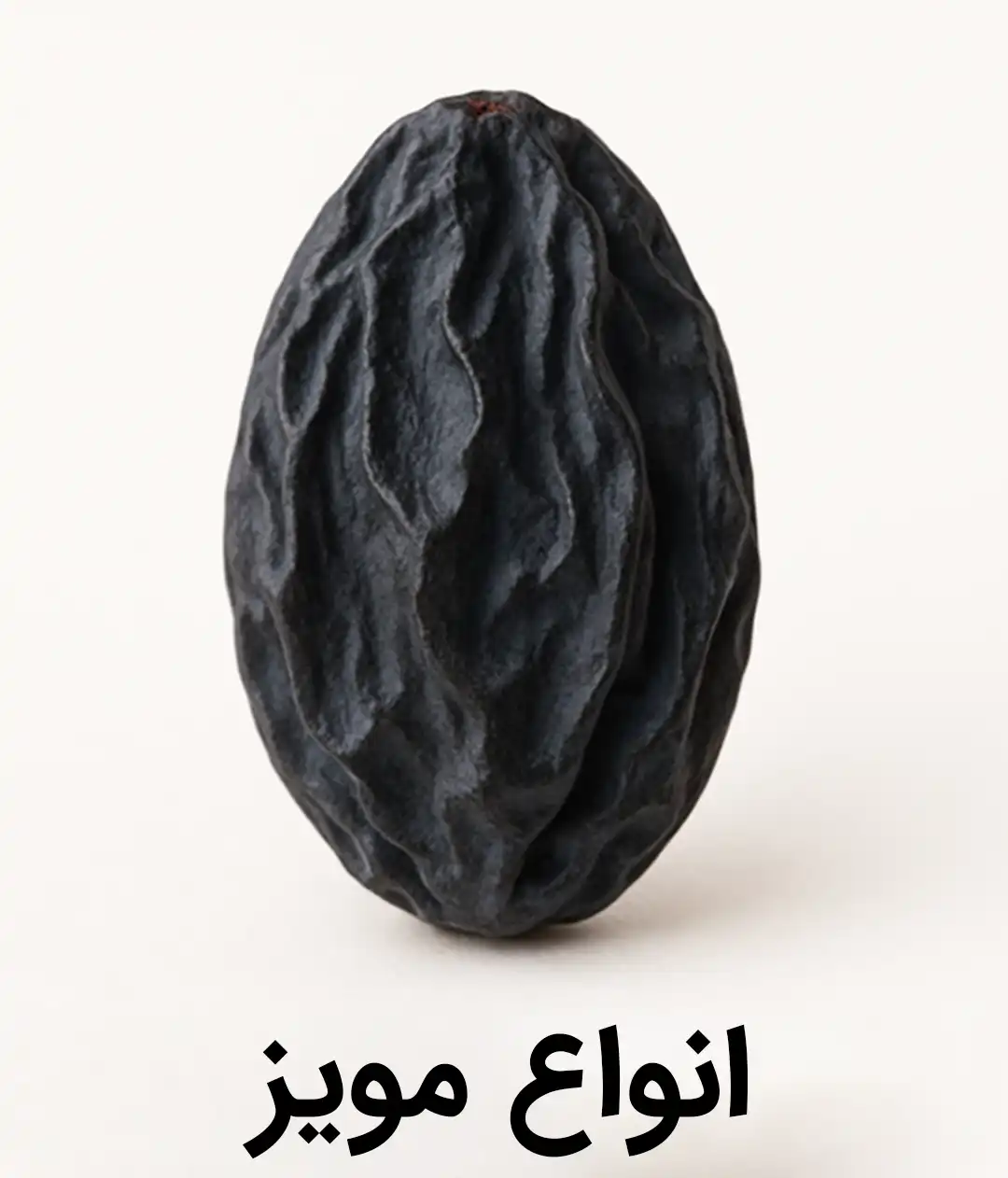 خرید انواع مویز مویز سیاه بدون هسته مویز فخری مویز افغان ازبک ایرانی با هسته مویز درشت شیرین