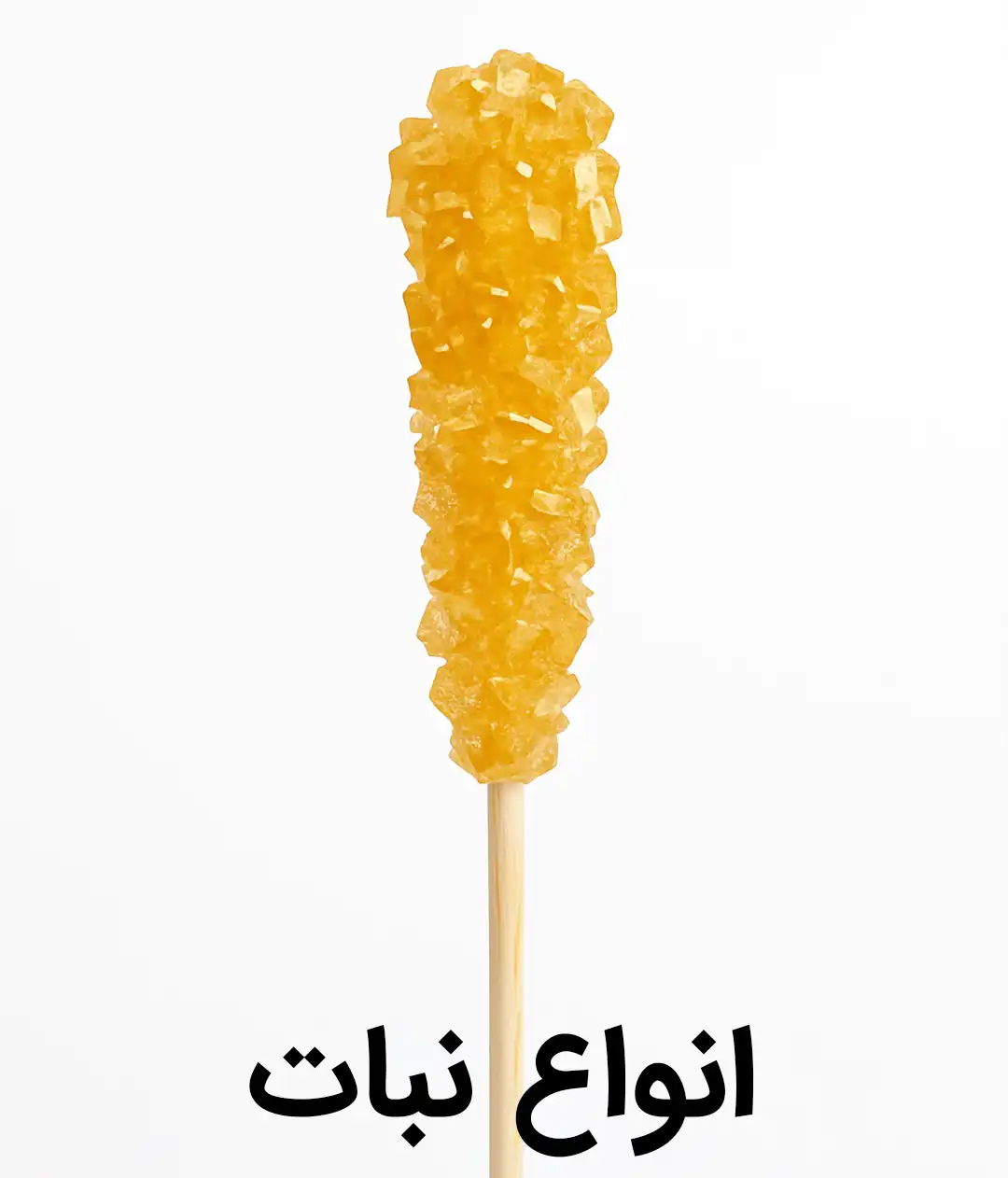 خرید انواع نبات آبنبات شکر پنیر نبات نی دار نبات زعفرانی نبات شاخه نبات سفید