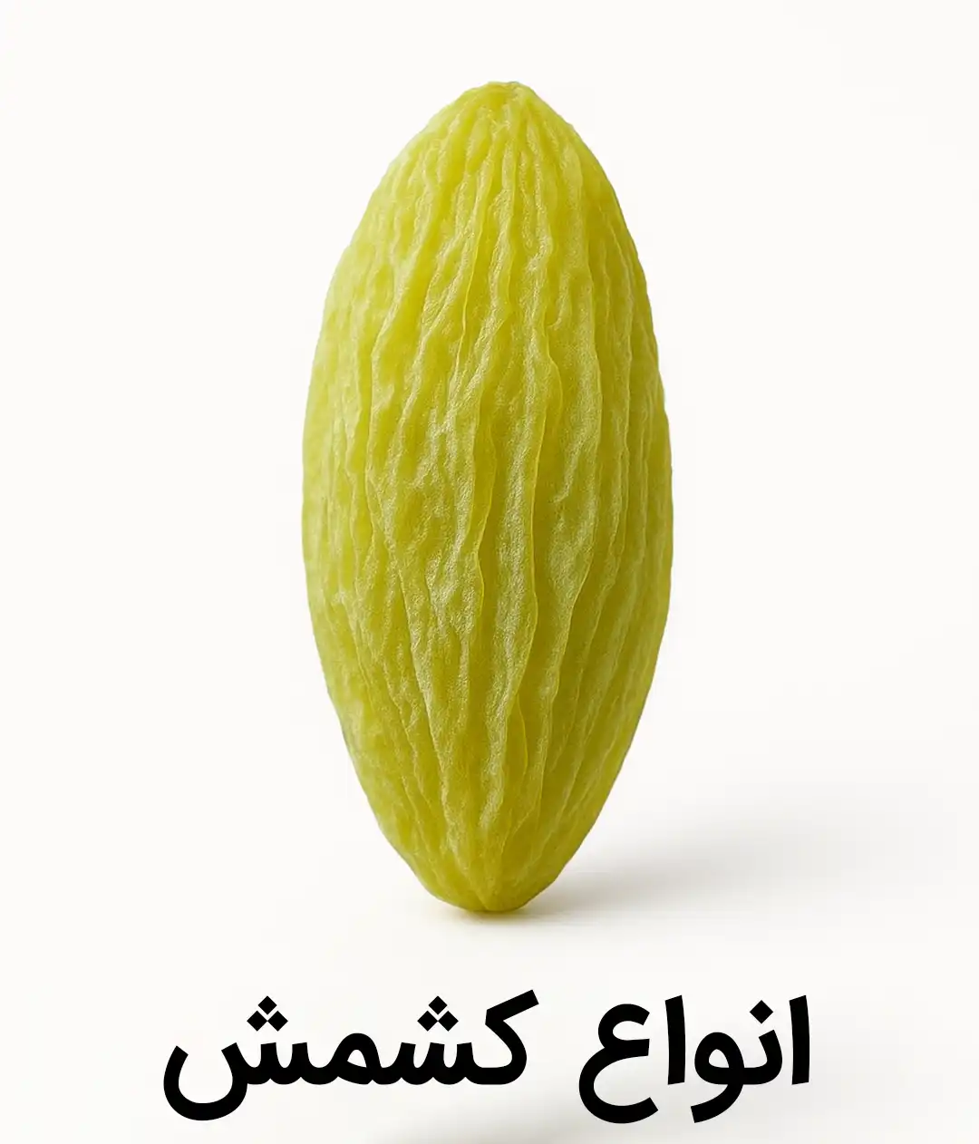 خرید انواع کشمش سبر و زرد قلمی کشمش پلویی کشمش آفتابی کشمش ممتاز کشمش قلمی کشمش سبز