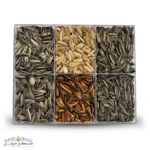 خرید کلکسیون تخمه 6 طعم تازه و متنوع با بسته‌بندی لوکس