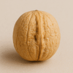 گردو