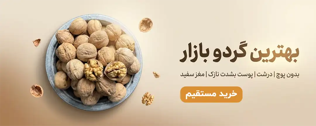 تصویر یک کاسه گردوی باکیفیت و پوست‌کاغذی همراه با مغز سفید؛ مناسب معرفی بهترین گردوی بازار در فروشگاه خشکبار استور