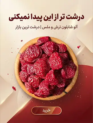 آلو شابلون ترش و ملس درشت و تازه در کاسه چوبی – درشت‌ترین آلو خشک بازار – خشکبار استور