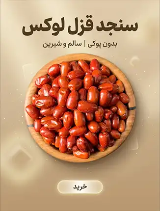 سنجد قزل لوکس درشت و سالم در کاسه چوبی – بدون پوکی و کاملاً شیرین – خشکبار استور