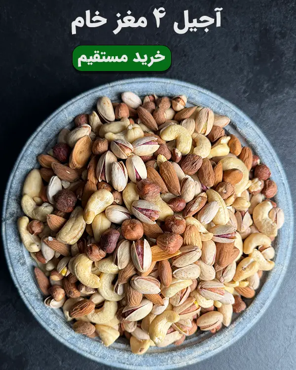 کاسه آجیل ۴ مغز خام شامل پسته با پوست، بادام درختی، بادام هندی و فندق تازه