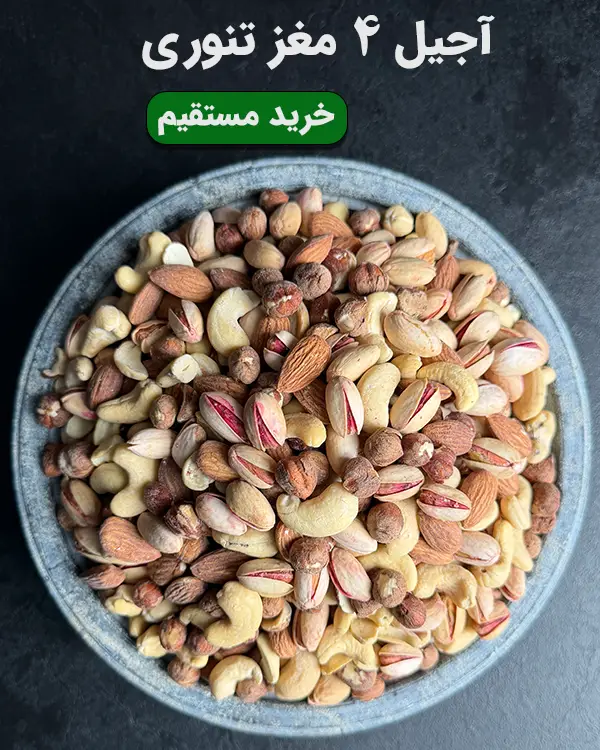 کاسه آجیل ۴ مغز تنوری شامل پسته خندان، مغز بادام، فندق و بادام هندی برشته شده