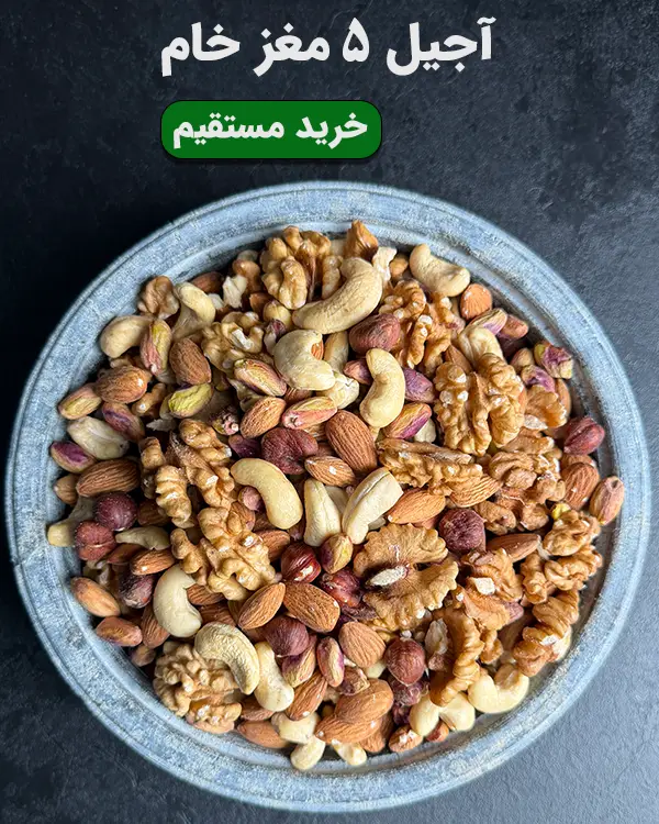 کاسه آجیل ۵ مغز خام شامل گردو، پسته، بادام درختی، فندق و بادام هندی تازه و بدون نمک