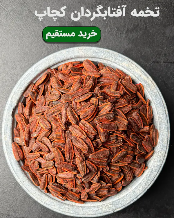 تخمه آفتابگردان دورسفید با روکش طعم کچاپ، تازه و باکیفیت در خشکبار استور