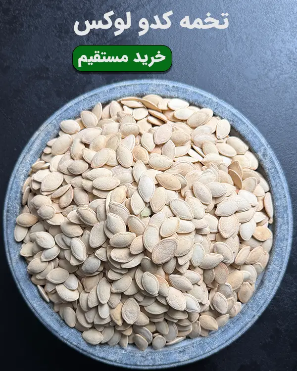 نمای نزدیک از تخمه کدو لوکس و درشت (گوشتی) شور و ترد در فروشگاه آجیل خشکبار استور