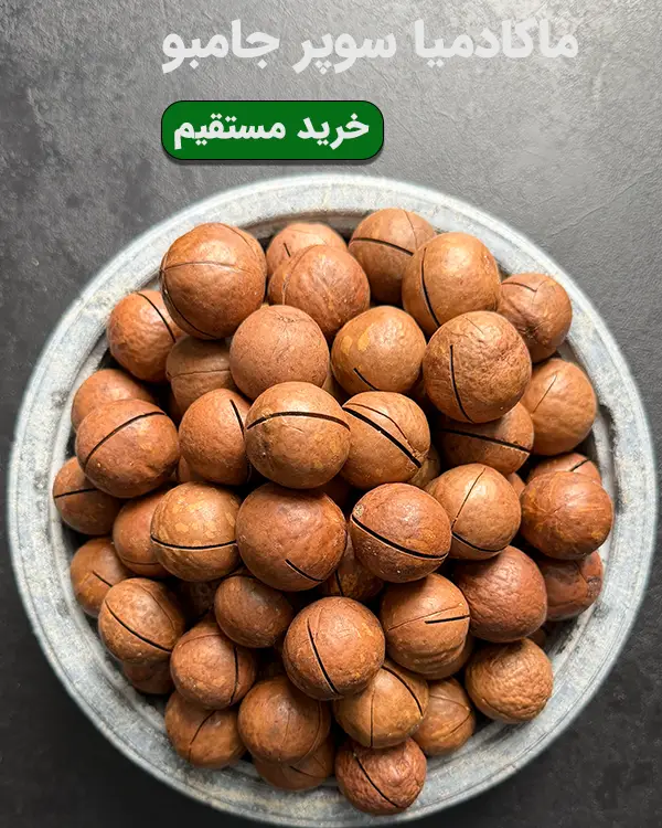 تصویر آجیل لوکس ماکادمیا سوپر جامبو با پوست شکافدار و کیفیت اعلا در خشکبار استور