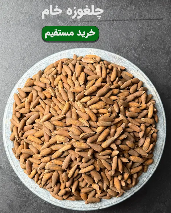 کاسه چلغوزه خام (تخم صنوبر) درجه یک به عنوان یک آجیل لوکس و انرژیبخش