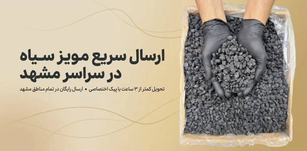 خرید مویز سیاه در مشهد؛ ارسال ۳ ساعته + ضمانت مرجوعی بیقید و شرط 18 مویز سیاه درجه یک سورت شده در کارتن با دستکش بهداشتی؛ بنر ارسال سریع مویز سیاه در سراسر مشهد با تحویل ۳ ساعته از خشکبار استور