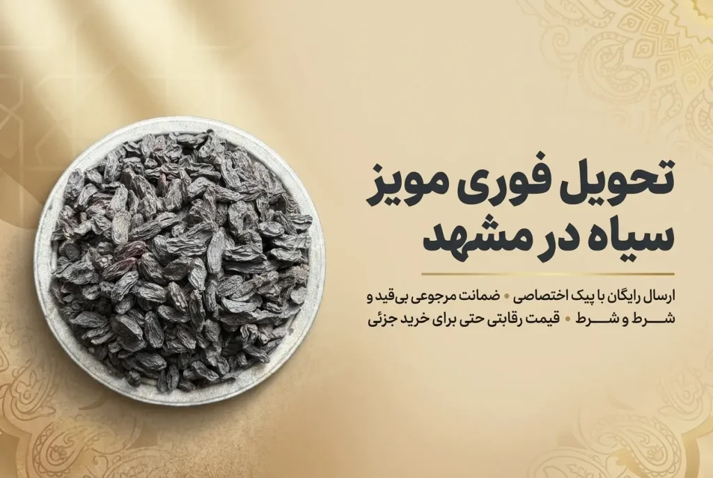 خرید مویز سیاه در مشهد؛ ارسال ۳ ساعته + ضمانت مرجوعی بیقید و شرط 17 کاسه پر از مویز سیاه درجه یک و ارگانیک؛ بنر تبلیغاتی خرید مویز سیاه در مشهد با ارسال فوری و پیک اختصاصی از فروشگاه خشکبار استور