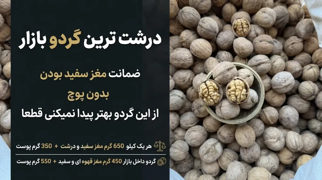 بنر خرید گردو در مشهد با تصویر گردوهای درشت، مغز سفید و قیمت‌گذاری هری‌یک کیلو برای گردو پوست‌دار و گردو داخل بازار