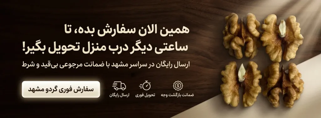 مغز گردو تازه و درشت برای سفارش فوری در مشهد؛ بنر با نمادهای تحویل سریع، ارسال رایگان و ضمانت بازگشت وجه