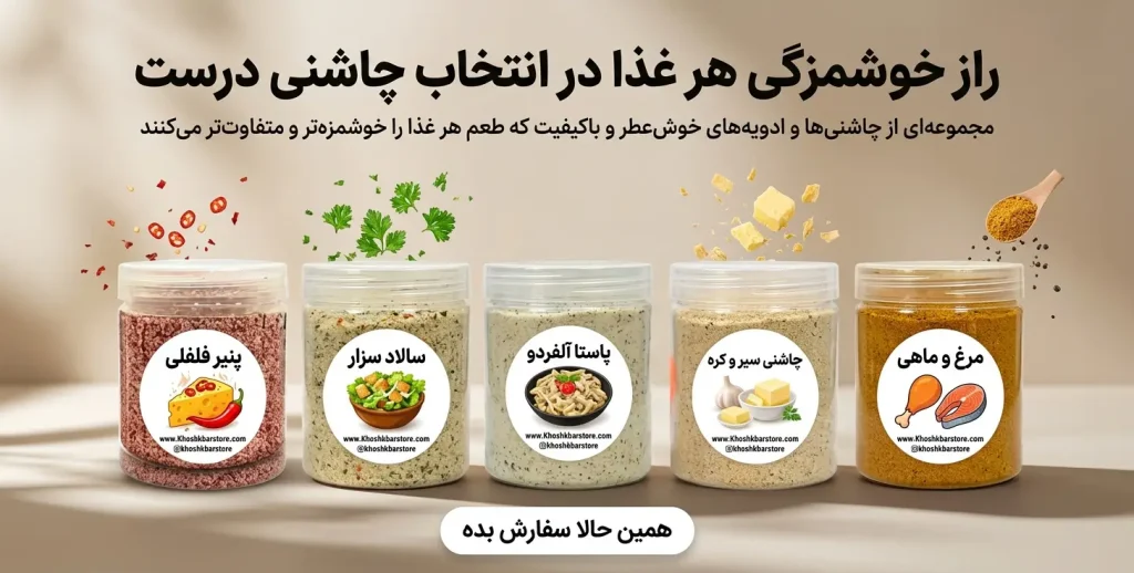 بنر تبلیغاتی مجموعه چاشنی‌ها و ادویه‌های ترکیبی شامل پنیر فلفلی، سالاد سزار، پاستا آلفردو، سیر و کره، مرغ و ماهی با طراحی مدرن و اشتها‌آور