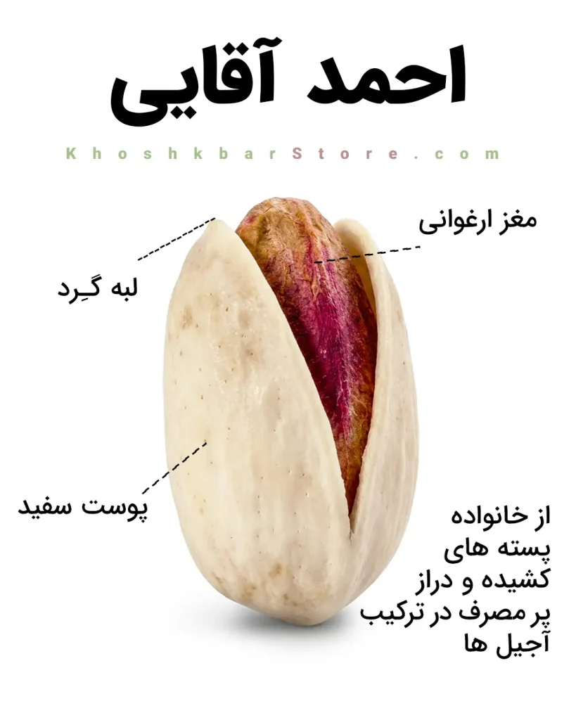انواع پسته ایرانی را از روی ظاهر بشناسید؛ راهنمای تصویری خرید 12 اینفوگرافیک ویژگیهای پسته احمد آقایی شامل پوست سفید استخوانی، لبه گرد، مغز ارغوانی خوشرنگ و شکل کشیده؛ پسته پرمصرف آجیل مجلسی در خشکبار استور