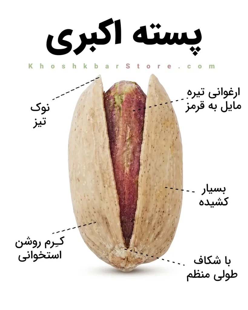 انواع پسته ایرانی را از روی ظاهر بشناسید؛ راهنمای تصویری خرید 11 اینفوگرافیک ویژگیهای ظاهری پسته اکبری شامل شکل بسیار کشیده، پوست استخوانی کرم روشن، مغز ارغوانی مایل به قرمز، نوک تیز و شکاف طولی منظم در خشکبار استور