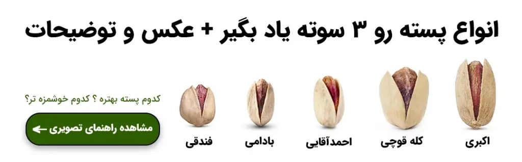 بنر راهنمای تصویری انواع پسته ایرانی شامل مقایسه تصویری پسته اکبری، کله قوچی، احمد آقایی، بادامی و فندقی در خشکبار استور
